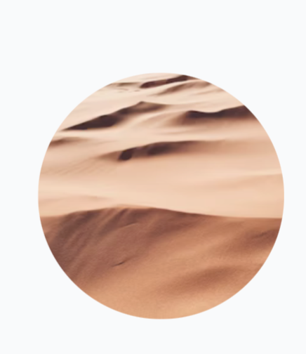 Dr. Michael Bergmann